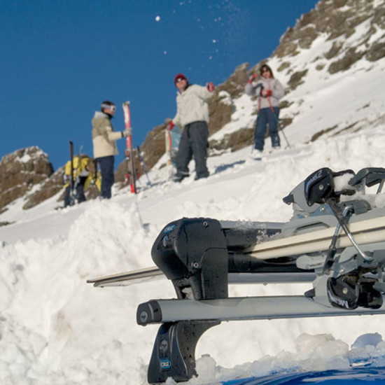 БАГАЖНИК ЗА СКИ CRUZ 4 GREY